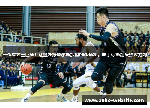 一夜集齐三巨头！辽篮外援威尔斯加盟NBL长沙，联手琼斯组最强火力网